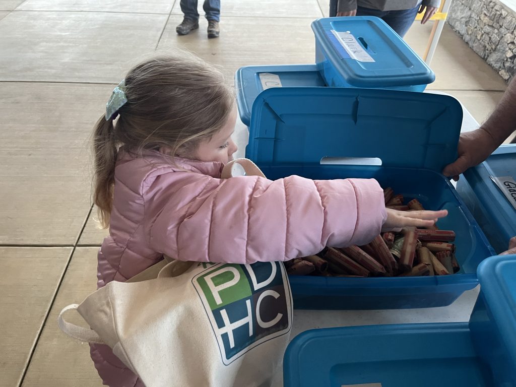 Kindergarten student puts pennies in her classes bucket.